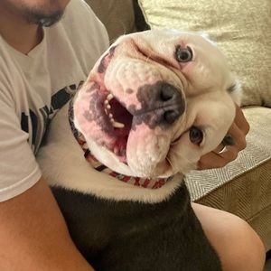 Meet your Posher, Roman